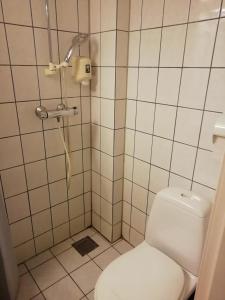 a bathroom with a toilet and a shower at Kirkenes Hotell in Kirkenes