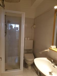 ein Bad mit einem WC, einem Waschbecken und einer Dusche in der Unterkunft Bed & Breakfast LA BETULLA in Baselga di Pinè