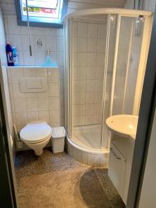 W łazience znajduje się prysznic, toaleta i umywalka. w obiekcie Haus Elise w mieście Kirchheim unter Teck