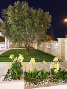 Un arbre et quelques fleurs jaunes dans une cour dans l'établissement La Baia Apartments, à Torre Lapillo