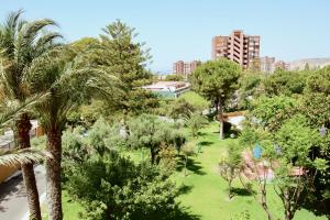 A garden outside Apartamento El Tridente