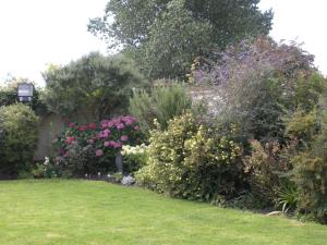 A garden outside Manor Farm Oast 