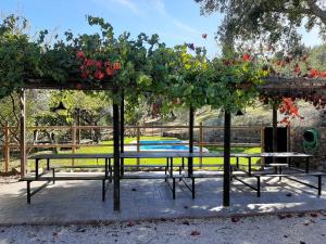 una mesa de picnic con un montón de plantas. en Casa Rural El Bonito, en Cazalla de la Sierra