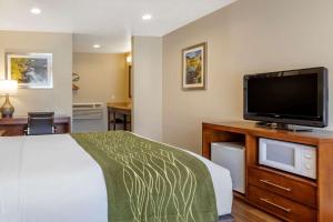 Comfort Inn Bishop