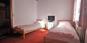 um quarto com duas camas e uma televisão em Große Wohnung im Odenwald 1 em Schönau