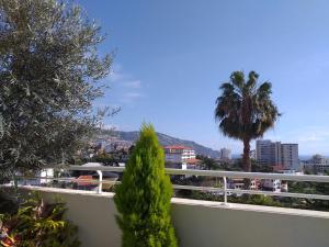 a view from the balcony of a building with a palm tree at Mericia's Gorgeous View in Funchal