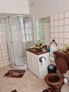 y baño con ducha, aseo y lavamanos. en Angel's Corner en Ciudad del Cabo