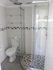 ein Badezimmer mit Toilette und Glasdusche in der Unterkunft Seagull 409 in Margate + 13 Fotos