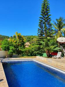 a blue swimming pool with a chair and a palm tree at Espetacular Casa em João Fernandes e Vista Mar in Búzios