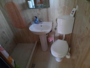 małą łazienkę z toaletą i umywalką w obiekcie Casa La LEPE w mieście Roşia Montană