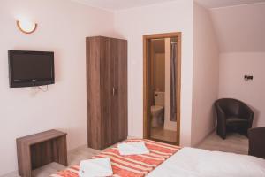 1 dormitorio con 1 cama, TV y armario en Pensiunea Castel, en Timisul de Jos