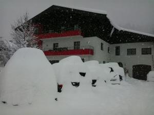 Appartementhaus Bergblick v zime