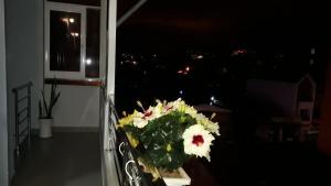 Fotografie z fotogalerie ubytování Dang Nguyen Guesthouse v destinaci Da Lat
