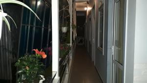 Fotografie z fotogalerie ubytování Dang Nguyen Guesthouse v destinaci Da Lat