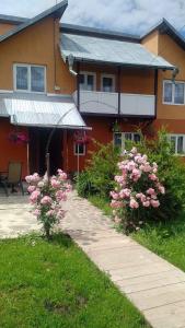 瓦特拉多梅的住宿－Pensiunea Lăcrămioara，人行道旁的一座花粉房子
