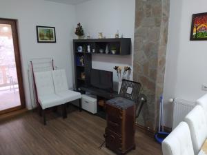 a living room with a tv and a couch and a chair at Vila Žubor in Crni Vrh +23 photos