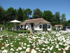 Κήπος έξω από το Mariahoeve-Logies #Polderhuisje