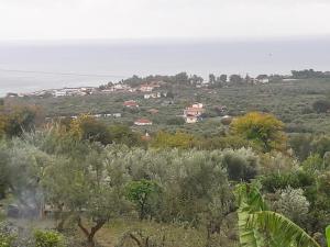 Táj Show holiday homes közelében