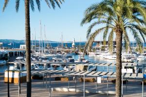 un port de plaisance avec des palmiers et des bateaux dans l'eau dans l'établissement Hostal Bellavista Formentera, à La Savina