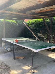 eine Tischtennisplatte mit einem Tennisball darauf in der Unterkunft La Huerta del Rivero in San Esteban de Gormaz