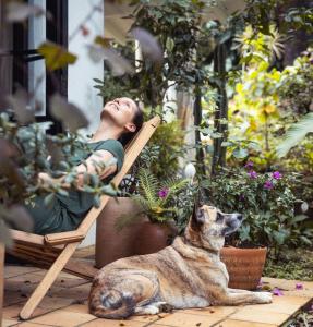 Κατοικίδιο ή κατοικίδια επισκεπτών που μένουν στο Hotel Quinta Ladera