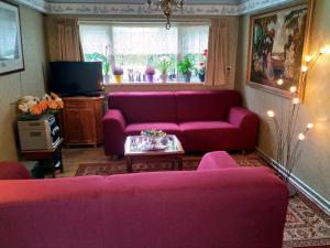 a living room with pink couches and a tv at B&B Altijd Welkom in Ruinen
