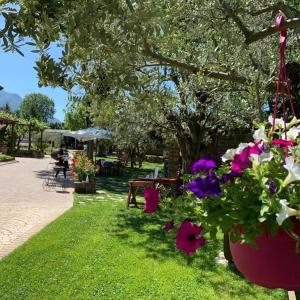 eine Gruppe Blumen in einem Garten mit Park in der Unterkunft AGRITURISMO Da Baffone in Santo Stefano del Sole