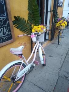 a bike parked next to a building with flowers at Casa Landivar Hotel in Antigua Guatemala