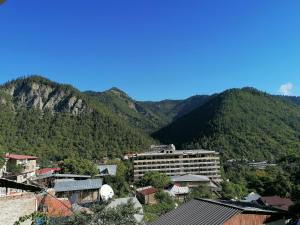 ボルジョミにあるAutøgráph Boutique Høme 9の山を背景にした街の景色