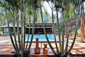 聖羅克的住宿－Espaço Vila Lara，三个花瓶坐在一个棕榈树游泳池旁