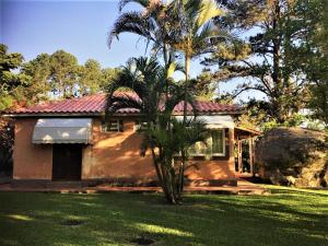 a house with a palm tree in front of it at Espaço Vila Lara in São Roque