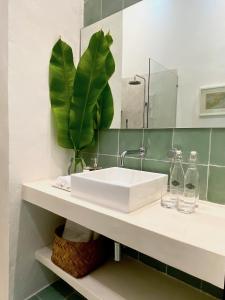 a bathroom with a sink and a plant on a shelf at The Diplomat Boutique Hotel in Mérida