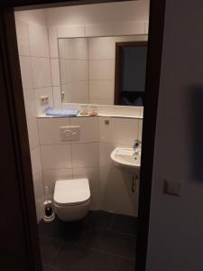 ein kleines Bad mit WC und Waschbecken in der Unterkunft Goldener Anker in Genthin