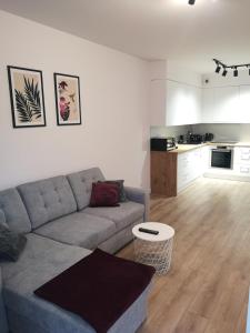 uma sala de estar com um sofá cinzento e uma cozinha em Apartament Marcella em Gorzów Wielkopolski