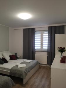 um quarto com uma cama e uma janela em Apartament Marcella em Gorzów Wielkopolski