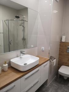 uma casa de banho com um lavatório, um chuveiro e um WC. em Apartament Marcella em Gorzów Wielkopolski