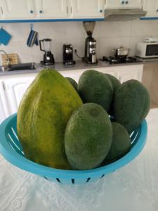 a bowl of fruit on a counter in a kitchen at Casa Familiar Gilda in Ribeira Grande +22 photos