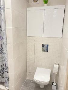 a bathroom with a white toilet and a shower at Suite Mira Avenue Center Двухкомнатная Квартира в центре возле ТЦ ЦУМ in Chernihiv
