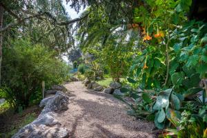 um caminho num jardim com pedras e árvores em B&B LA GRADINA em Osimo