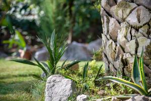una parete rocciosa con una pianta nell'erba di B&B LA GRADINA a Osimo