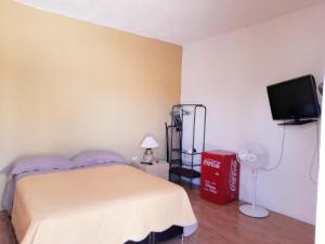 een slaapkamer met een bed en een flatscreen-tv bij Suite amplia privada a 8 min del centro in Aguascalientes