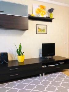 Televízia a/alebo spoločenská miestnosť v ubytovaní Sunflower Apartment near Kiev airport & railway station & center city!