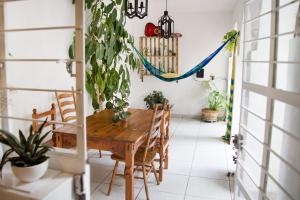 Casa Canario Hostel في غواذالاخارا: غرفة طعام مع طاولة خشبية ونباتات