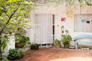 Zahrada ubytování Casa Canario Hostel + 37 fotografií
