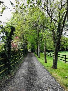 a dirt road with trees and a fence at Northdown Lodge - Stunning property on the Kent Northdowns in Hollingbourne +2 photos