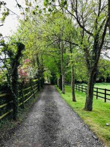 a dirt road with trees and a fence at Northdown Lodge - Stunning property on the Kent Northdowns in Hollingbourne