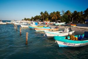 Příroda nedaleko hotelu
