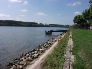 a boat is docked on the side of a lake at Zum neuen Schwan in Walluf