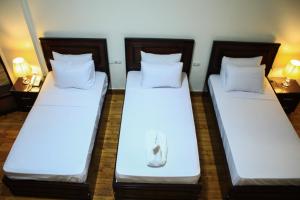 Giường trong phòng chung tại Kmt Hostel