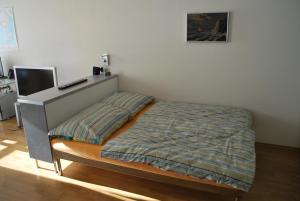 En eller flere senge i et værelse på Chotěšovská Apartment with Parking Place